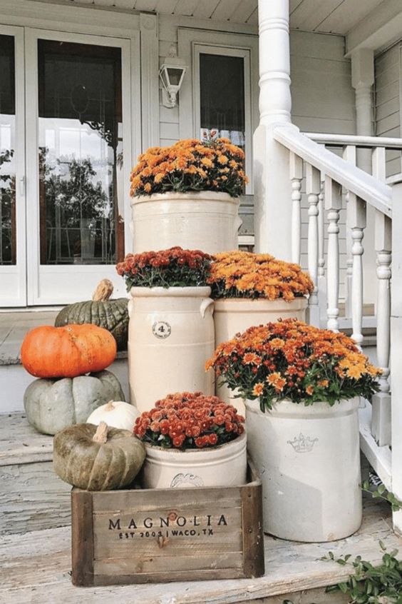 fall front porch mums